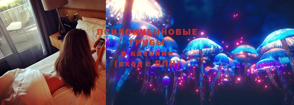 кокаин перу Богданович
