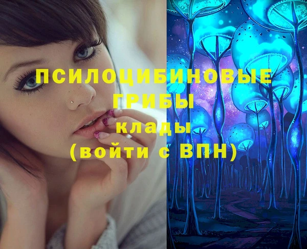 соль курить ск Богородск