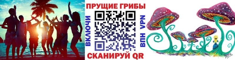 закладки  Дубна  Галлюциногенные грибы ЛСД 