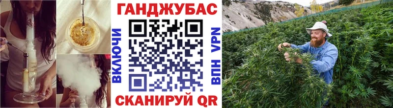 Шишки марихуана гибрид Дубна
